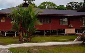 Mulu Tribal Homestay